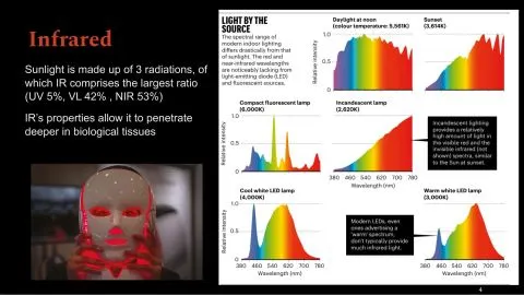 Representative slide from Impact of UV/IR on Cardiovascular Health: A Matter of Light and Death