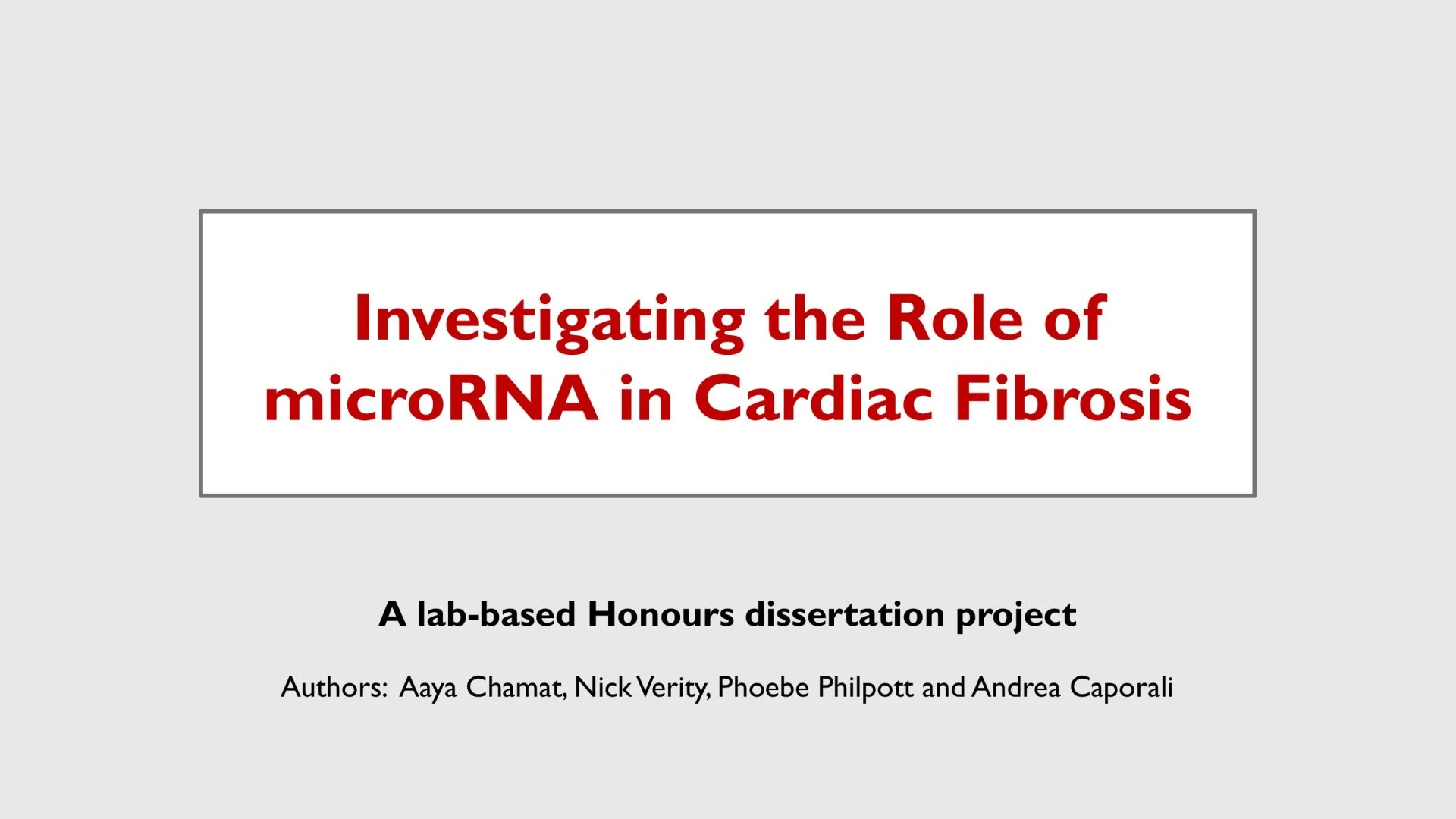 Slide 1: Investigating the Role of microRNA in Cardiac Fibrosis. A full description follows.