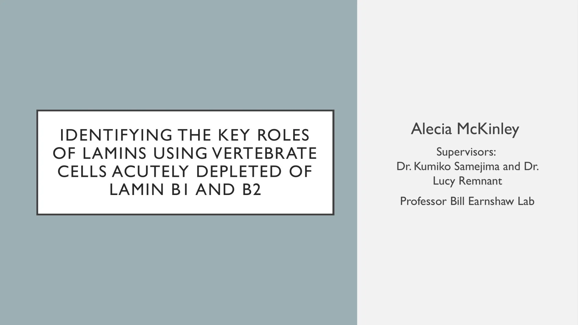 Slide 1: Identifying the key roles of Lamins using vertebrate cells acutely depleted of Lamin B1 and B2. A full description follows.