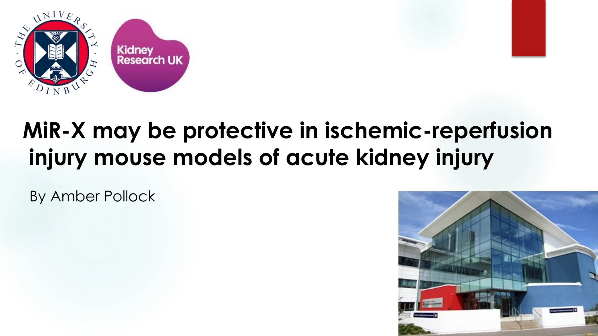 Slide 1: MiR-X may be protective in ischemic-reperfusion. A full description follows.