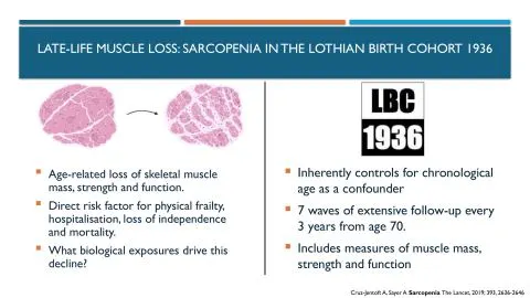 Representative slide from Predictors of Sarcopenia-Associated Functional Decline in the Lothian Birth Cohort