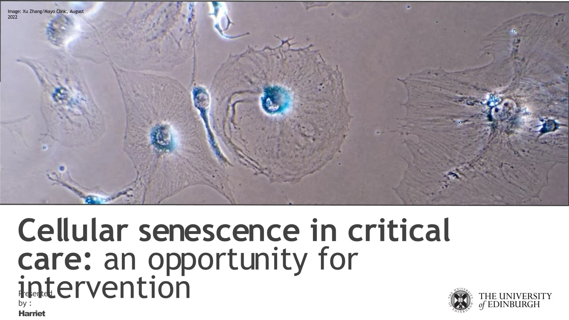 Slide 1: C. A full description follows.