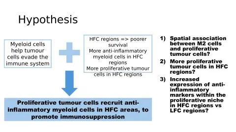 Representative slide from The Role of Anti-Inflammatory Myeloid Cells in Driving Tumour Cell Proliferation in Regions of High Functional Connectivity Glioblastoma