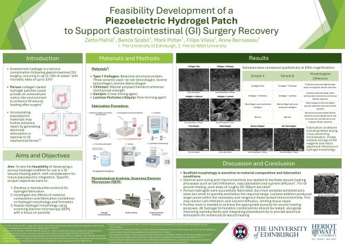 Feasibility Development of a Piezoelectric Hydrogel Patch to Support Gastrointestinal (GI) Surgery Recovery